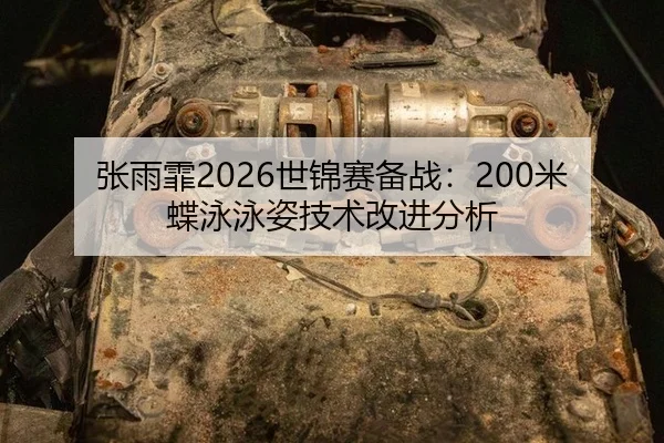 张雨霏2026世锦赛备战：200米蝶泳泳姿技术改进分析